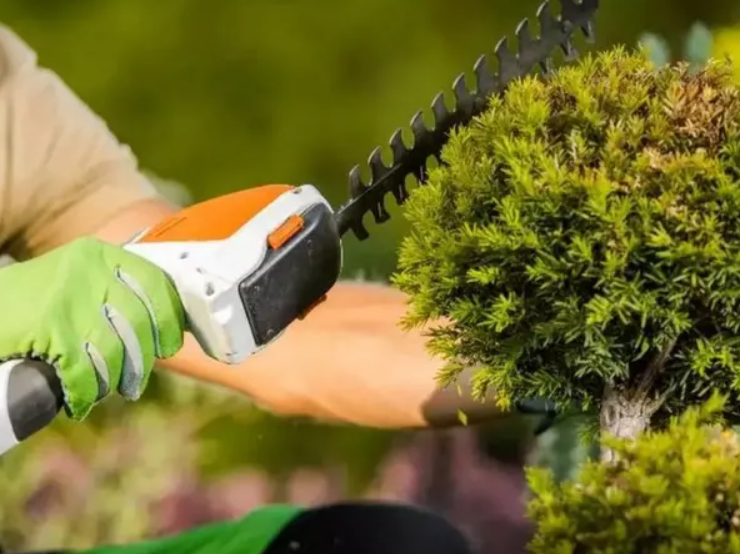 sövény és fűvágó 2